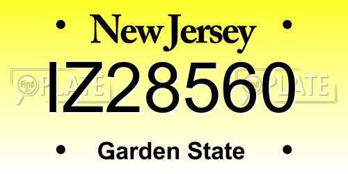 IZ28560 New Jersey License Plate