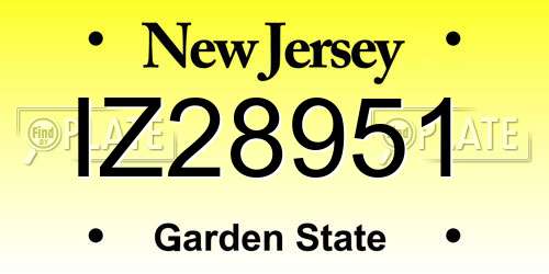 IZ28951 New Jersey License Plate