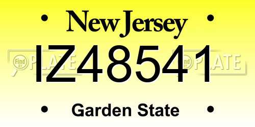 IZ48541 New Jersey License Plate