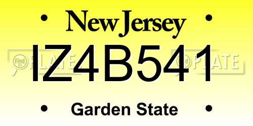 IZ4B541 New Jersey License Plate