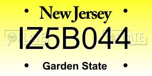 IZ5B044 New Jersey License Plate