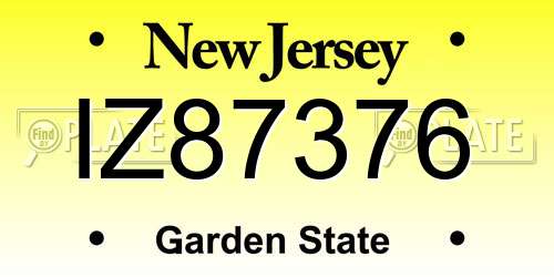 IZ87376 New Jersey License Plate