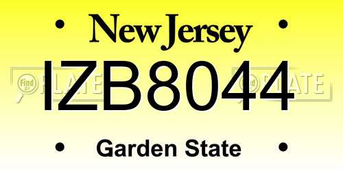 IZB8044 New Jersey License Plate