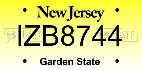 IZB8744 New Jersey License Plate
