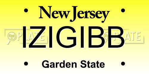 IZIGIBB New Jersey License Plate