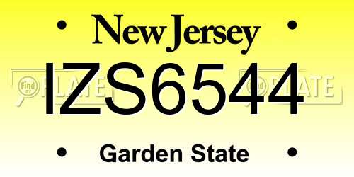 IZS6544 New Jersey License Plate