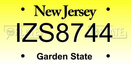 IZS8744 New Jersey License Plate