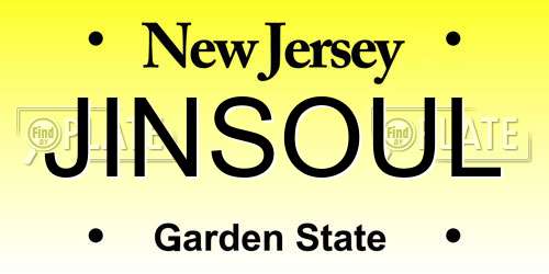 JINSOUL New Jersey License Plate