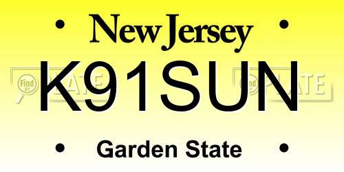 K91SUN New Jersey License Plate