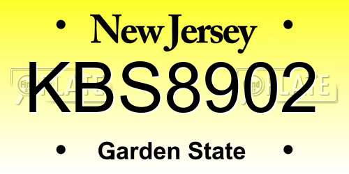 KBS8902 New Jersey License Plate