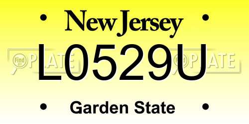 L0529U New Jersey License Plate