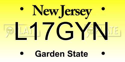 L17GYN New Jersey License Plate