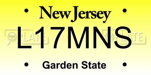 L17MNS New Jersey License Plate