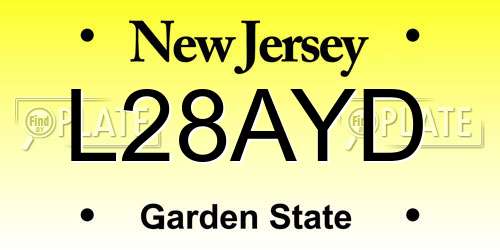 L28AYD New Jersey License Plate