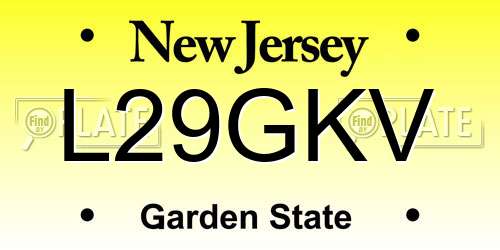 L29GKV New Jersey License Plate