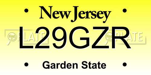 L29GZR New Jersey License Plate