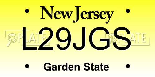 L29JGS New Jersey License Plate