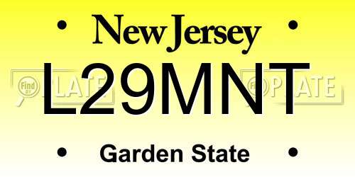 L29MNT New Jersey License Plate