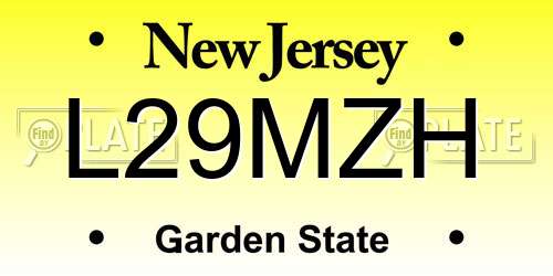 L29MZH New Jersey License Plate