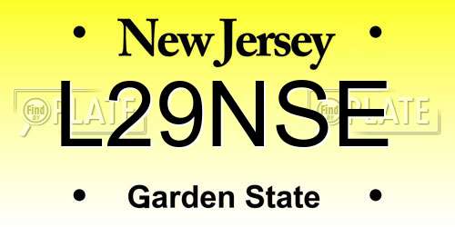 L29NSE New Jersey License Plate