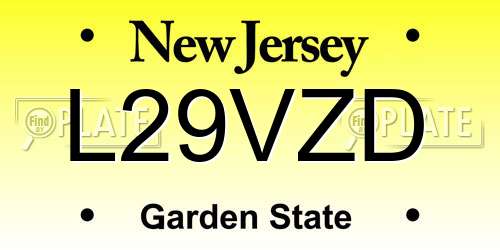 L29VZD New Jersey License Plate