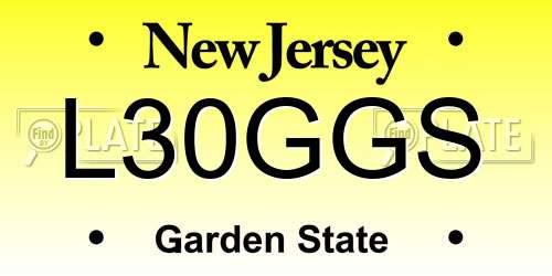 L30GGS New Jersey License Plate