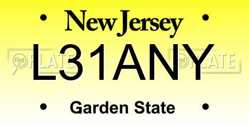 L31ANY New Jersey License Plate
