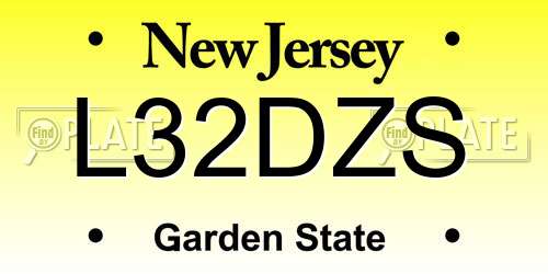 L32DZS New Jersey License Plate