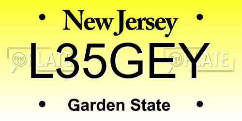 L35GEY New Jersey License Plate