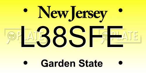 L38SFE New Jersey License Plate