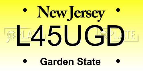L45UGD New Jersey License Plate