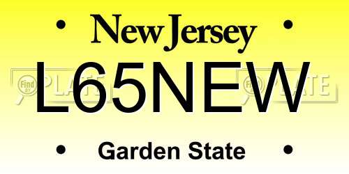 L65NEW New Jersey License Plate