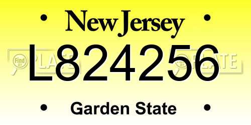 L824256 New Jersey License Plate