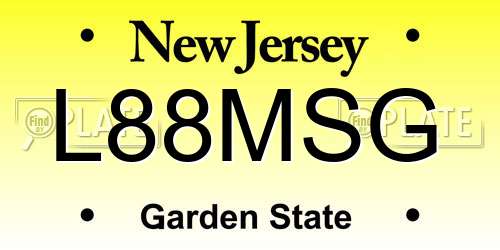 L88MSG New Jersey License Plate