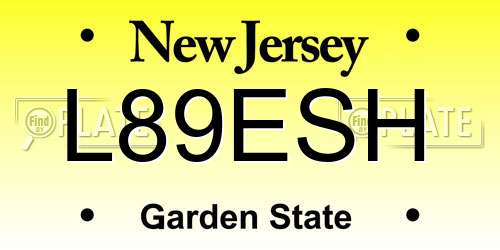 L89ESH New Jersey License Plate