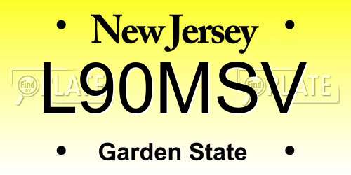 L90MSV New Jersey License Plate