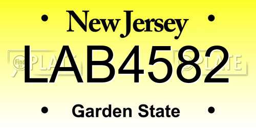 LAB4582 New Jersey License Plate