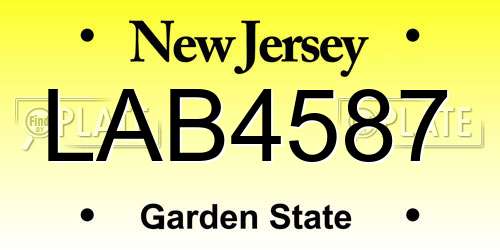 LAB4587 New Jersey License Plate