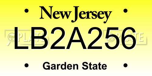 LB2A256 New Jersey License Plate