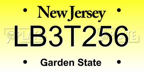 LB3T256 New Jersey License Plate