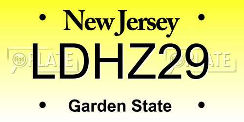 LDHZ29 New Jersey License Plate