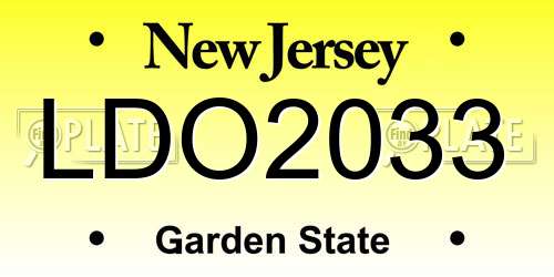 LDO2033 New Jersey License Plate