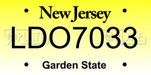 LDO7033 New Jersey License Plate