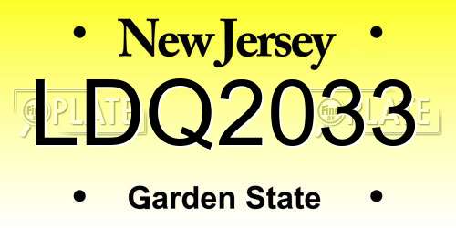 LDQ2033 New Jersey License Plate