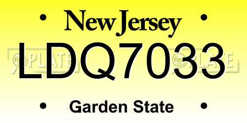 LDQ7033 New Jersey License Plate