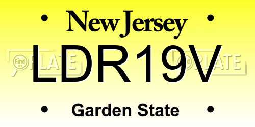 LDR19V New Jersey License Plate