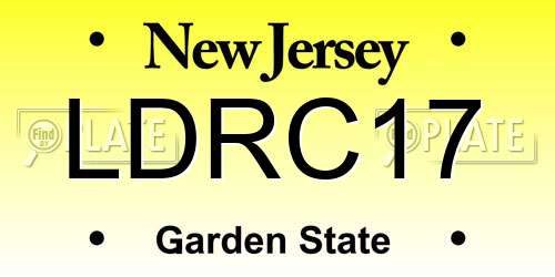 LDRC17 New Jersey License Plate