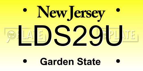 LDS29U New Jersey License Plate