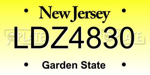LDZ4830 New Jersey License Plate