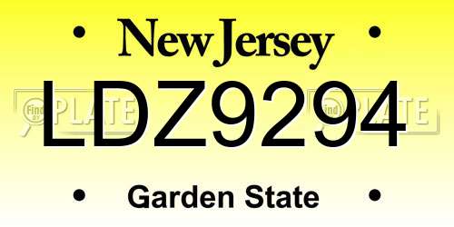 LDZ9294 New Jersey License Plate